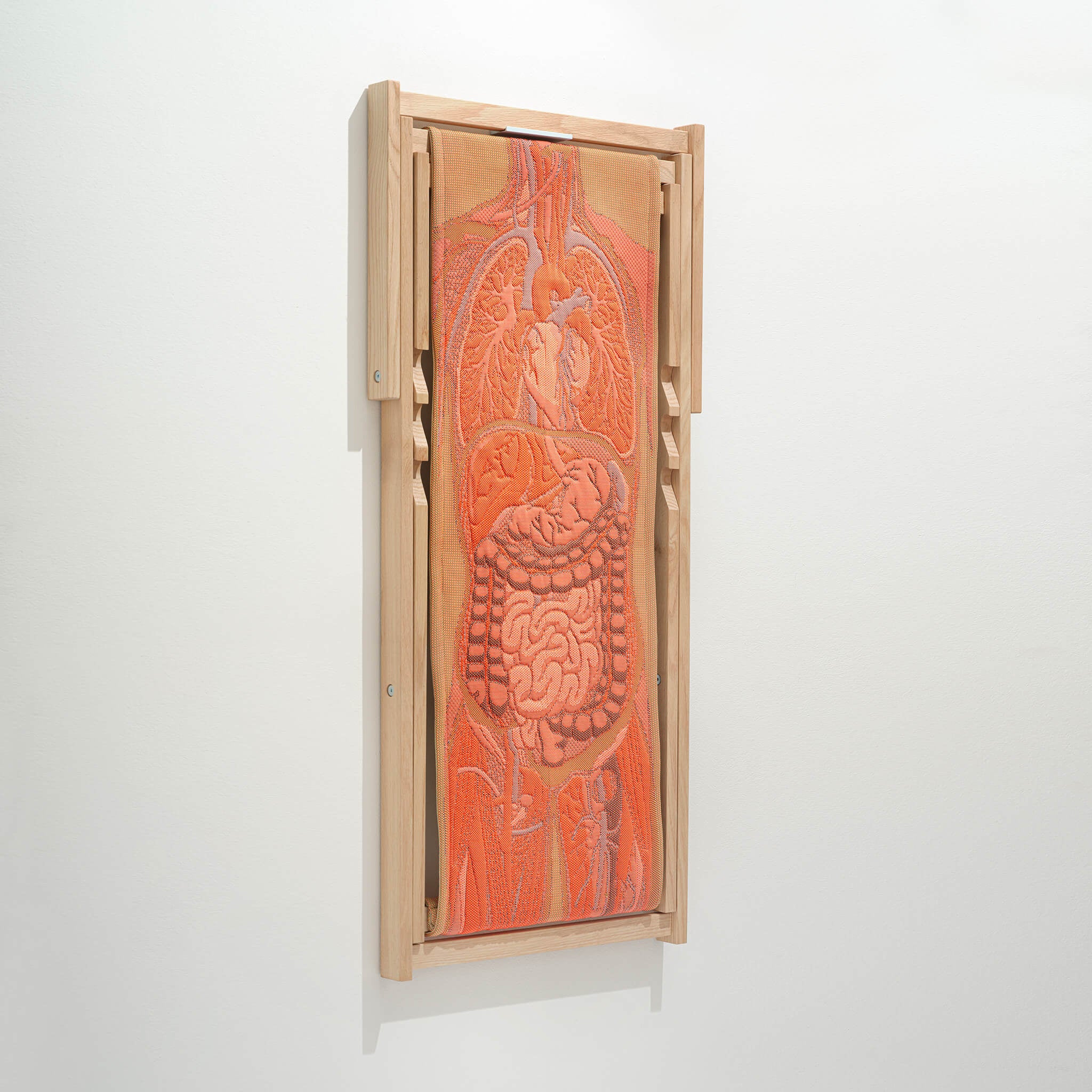 ANATOMIC by NYNKE TYNAGEL